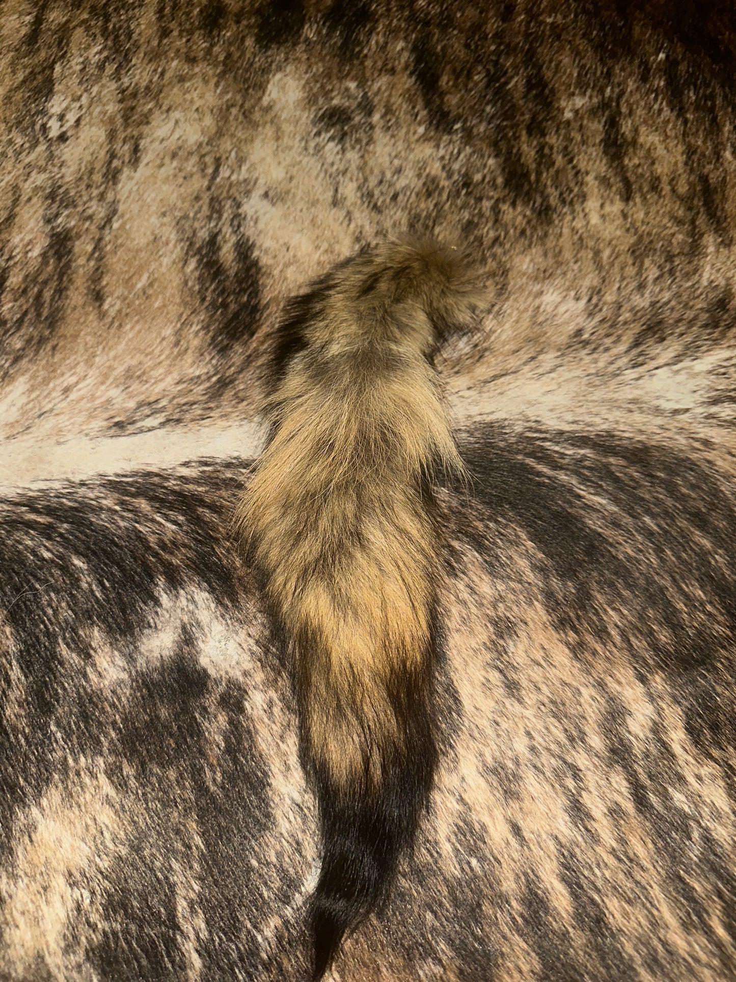 Small fox tail