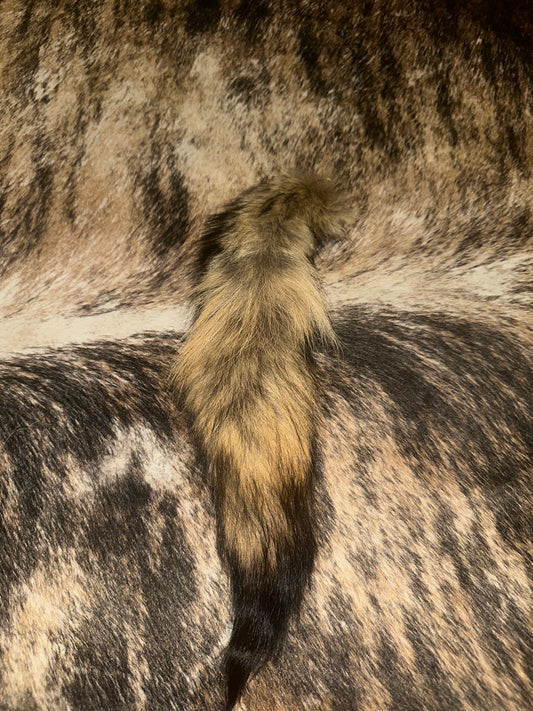 Small fox tail